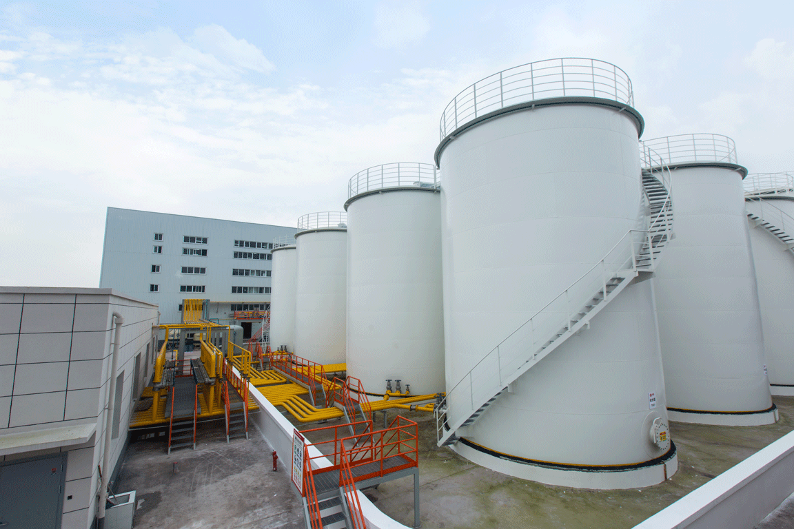 启航重庆 扬帆西部——金健（重庆）西部粮油食品加工基地竣工投产(图3)