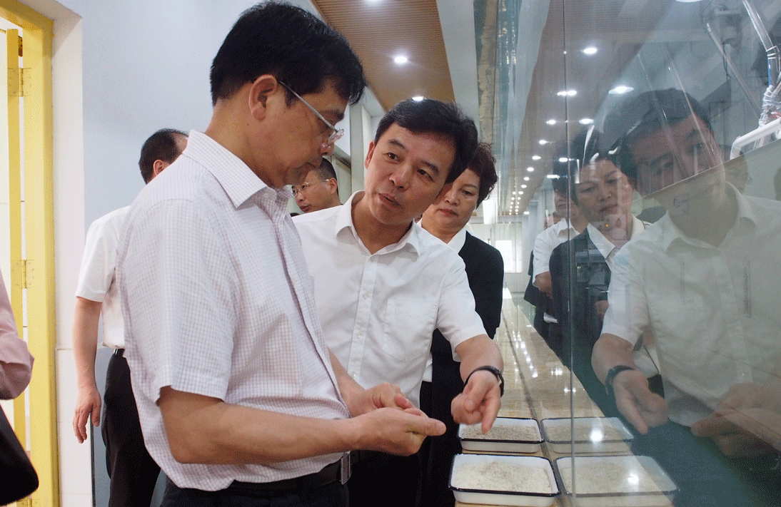 朱水平调研金健米业——为开放强市、产业立市贡献金健力量(图2)