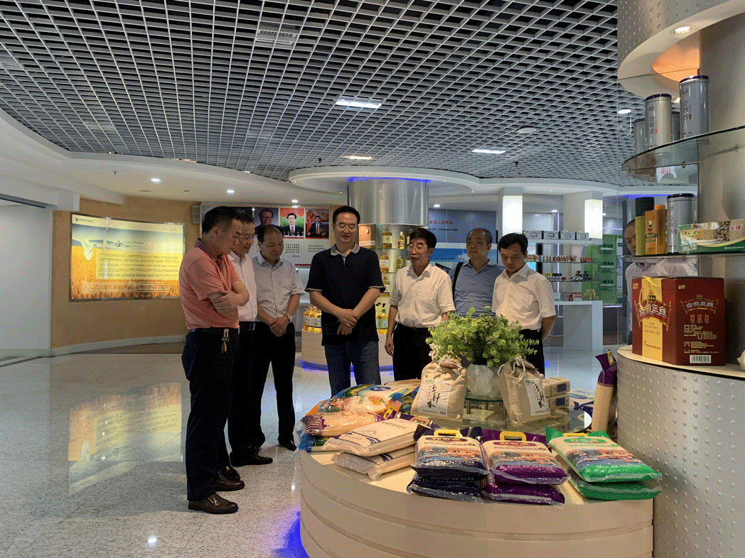 省粮食局领导来司调研(图1) 省粮食局领导来司调研(图1)